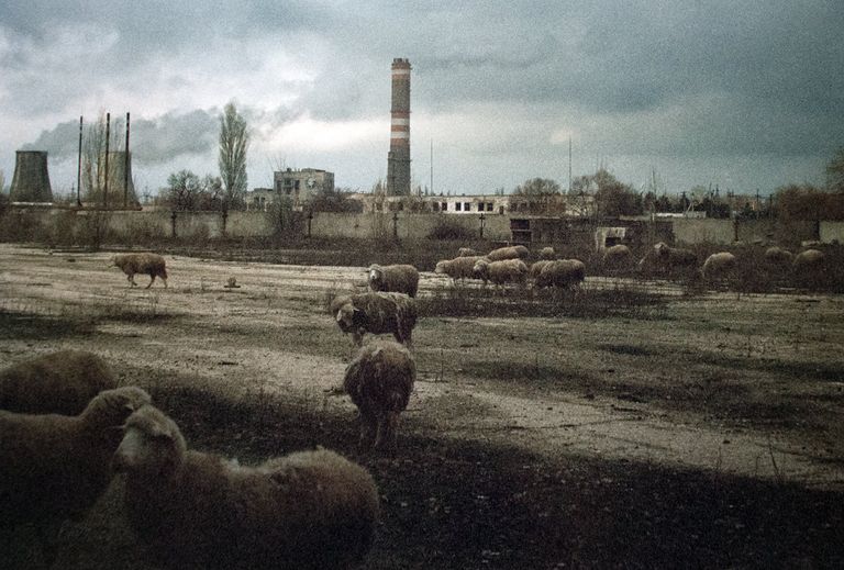 Все чувствуют Крым Олимпом, а я чувствую его таким, - говорит Дарина. Все чувствуют Крым Олимпом, а я чувствую его таким, - говорит Дарина.