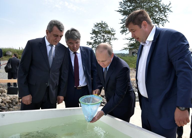 Владимир Путин принимает участие в церемонии выпуска в Байкал молоди омуля. 3 августа 2017 Владимир Путин принимает участие в церемонии выпуска в Байкал молоди омуля. 3 августа 2017
