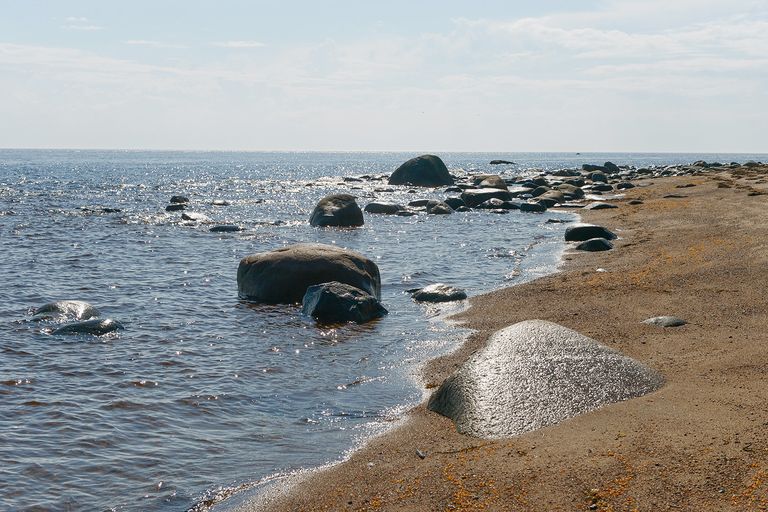В различных заливах Белого моря формируются разные биологические условия, которые, например, способствуют появлению здесь нескольких видов сельди В различных заливах Белого моря формируются разные биологические условия, которые, например, способствуют появлению здесь нескольких видов сельди