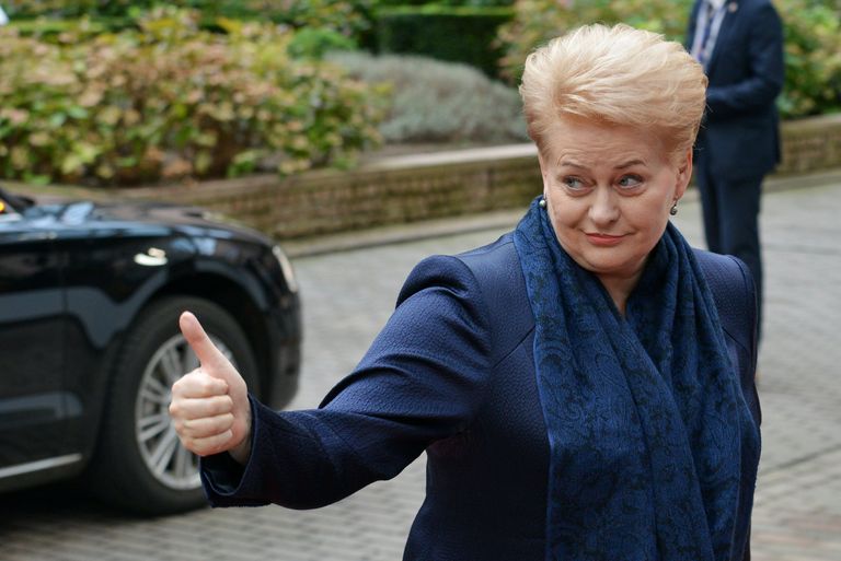 Президент Литвы Даля Грибаускайте Президент Литвы Даля Грибаускайте