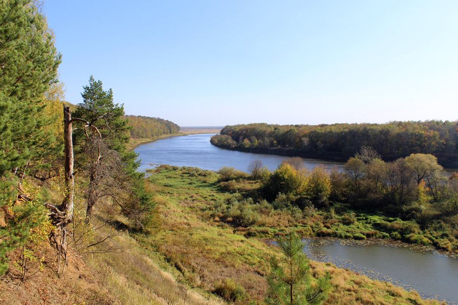 Патакинская роща Патакинская роща
