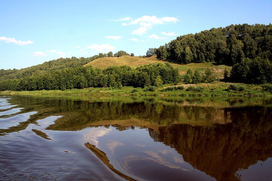 Лысая гора, Клязьминский Береговой заказник Лысая гора, Клязьминский Береговой заказник