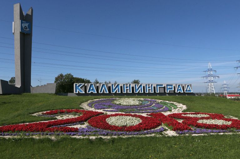 Цветочные клумбы на въезде в Калининград со стороны аэропорта Храброво Цветочные клумбы на въезде в Калининград со стороны аэропорта Храброво