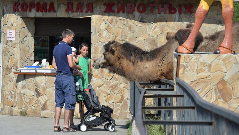 Посетители в сафари-парке Тайган в Белогорском районе Посетители в сафари-парке Тайган в Белогорском районе