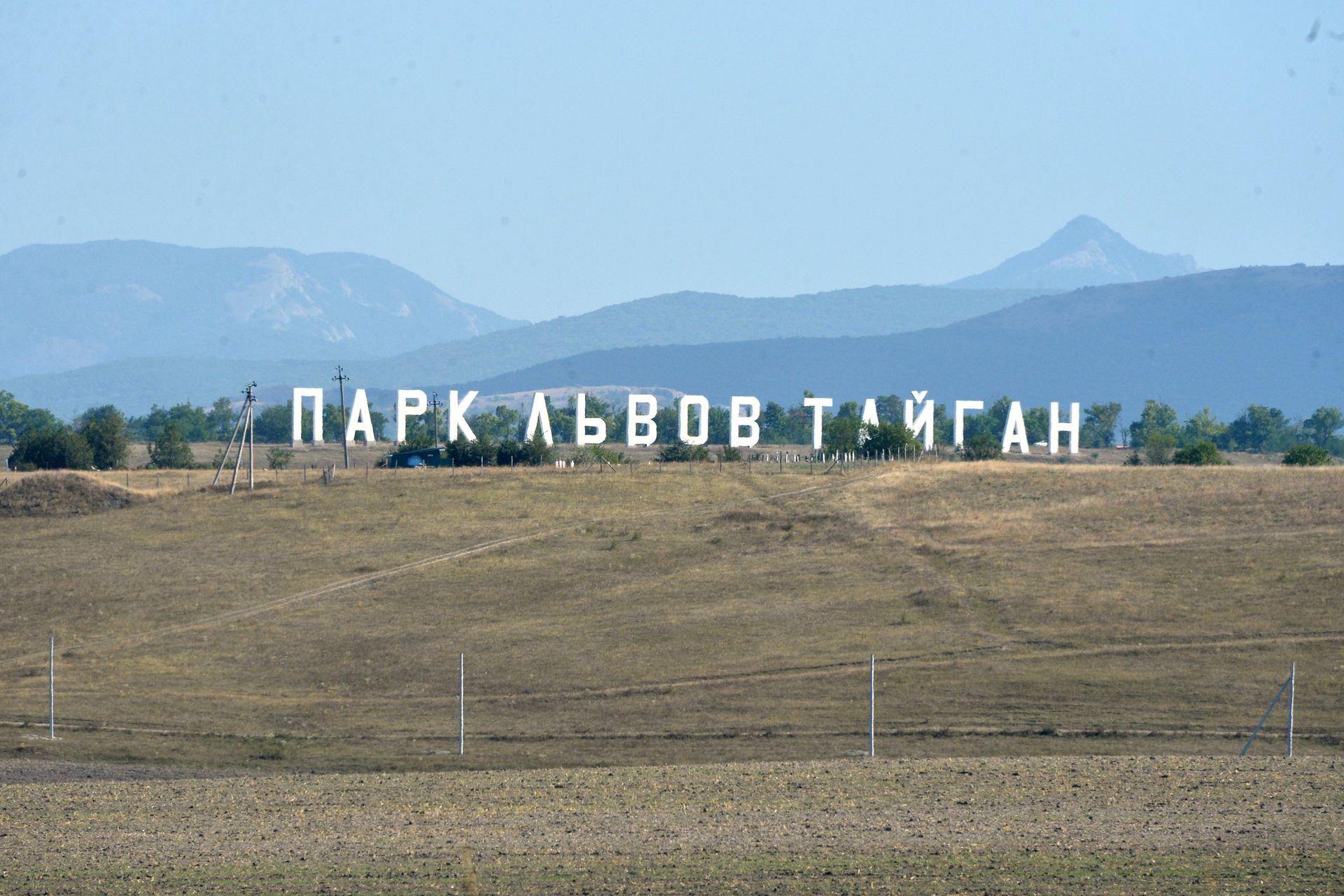 Сафари-парк Тайган в Белогорском районе - РИА Новости, 1920, 27.11.2020