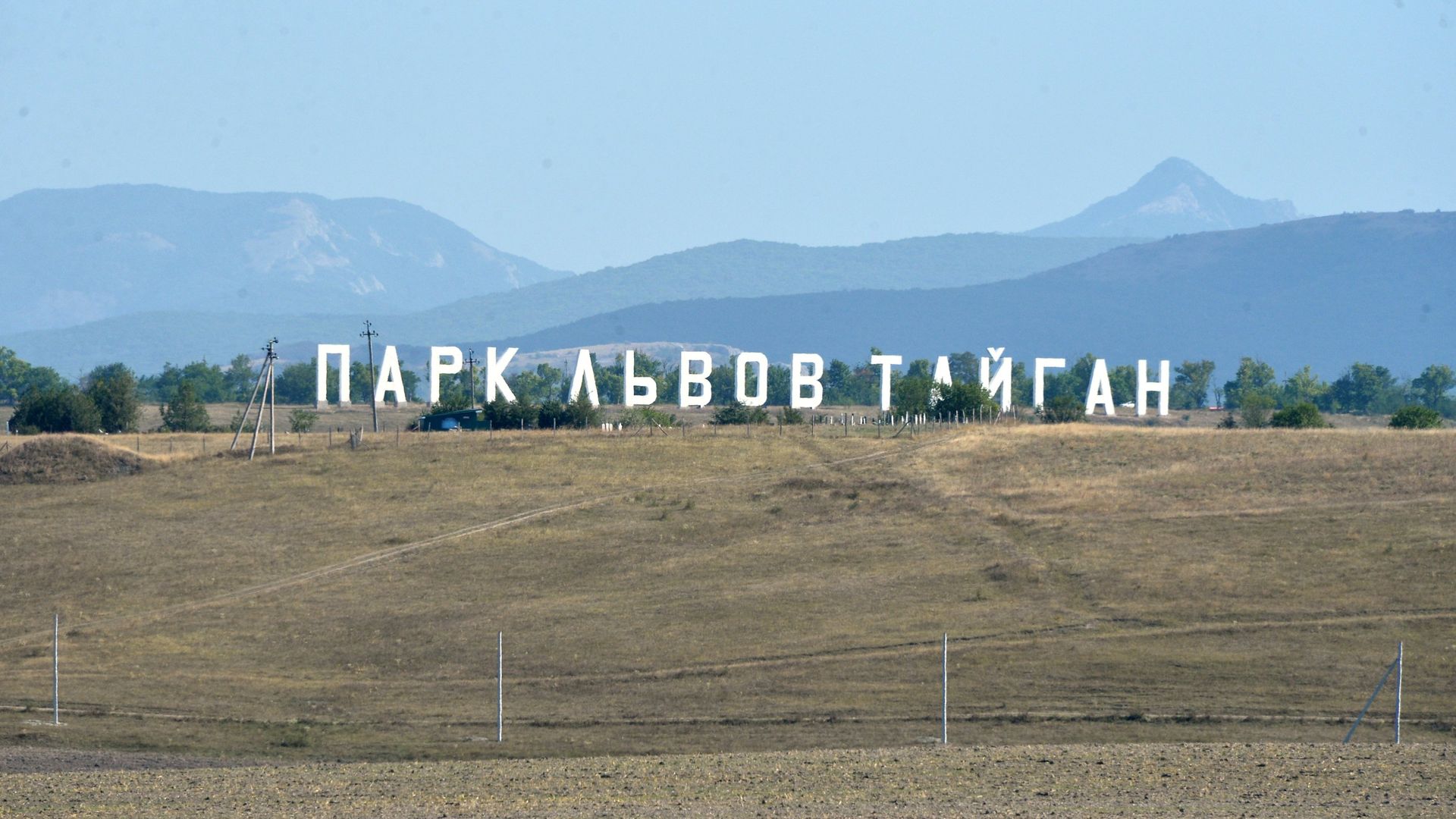 Сафари-парк Тайган Сафари-парк Тайган - РИА Новости, 1920, 05.11.2022