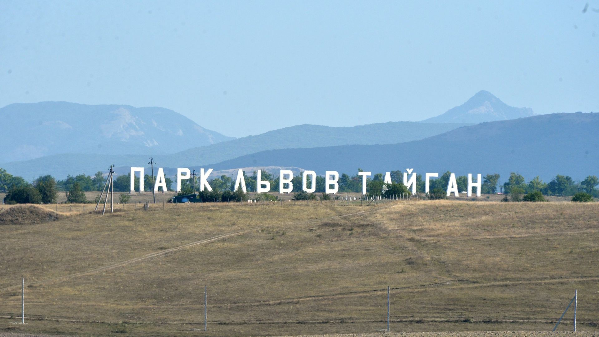 Сафари-парк Тайган  - РИА Новости, 1920, 05.11.2022