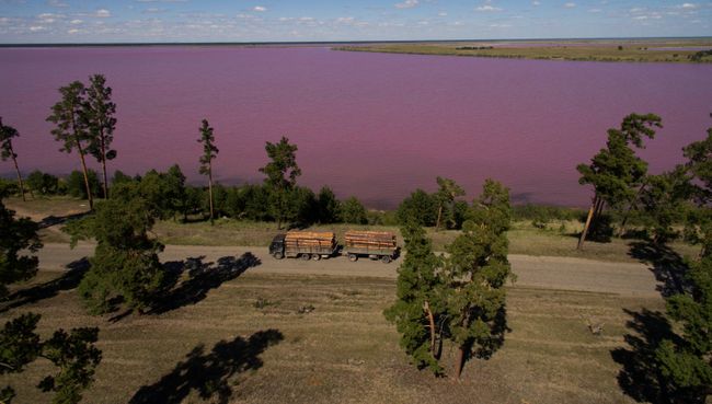 Горько-соленое Малиновое озеро в Михайловском районе Алтайского края. Архивное фото Горько-соленое Малиновое озеро в Михайловском районе Алтайского края. Архивное фото