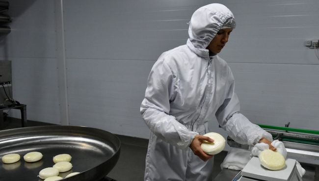 Производство сыров на предприятии. Архив Производство сыров на предприятии. Архив