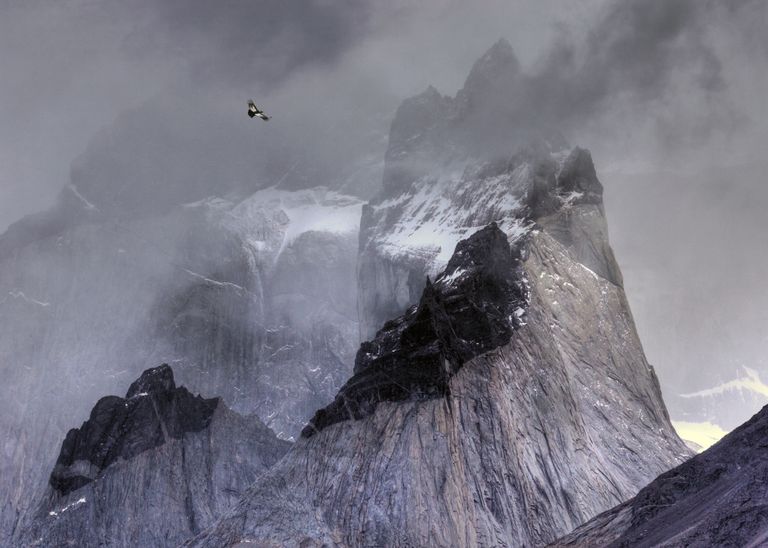 Работа фотографа Ben Hall Condor over mountain, занявшая первое место в категории Птицы в окружающей среде в конкурсе Bird Photographer of the Year 2017 Работа фотографа Ben Hall Condor over mountain, занявшая первое место в категории Птицы в окружающей среде в конкурсе Bird Photographer of the Year 2017