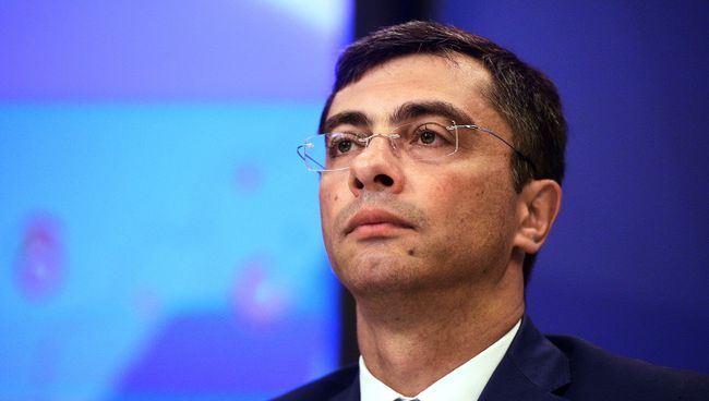 Доклад ОНФ по решению вопросов экологии будет представлен президенту