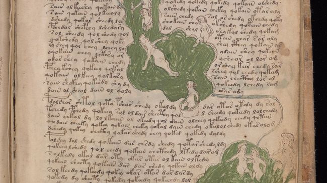 Одна из страниц манускрипта Войнича. Архивное фото Одна из страниц манускрипта Войнича. Архивное фото