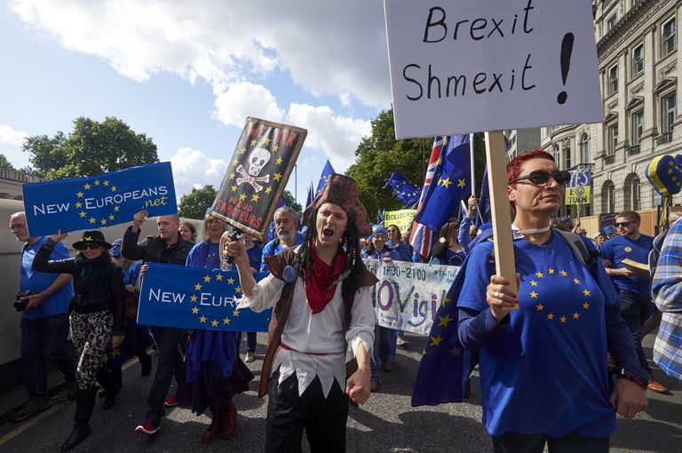 Марш протеста против Brexit в Лондоне, Великобритания. 9 сентября 2017