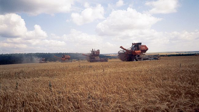 Уборка урожая. Архив