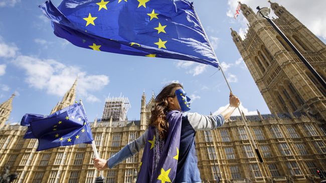 Акция протеста против прекращения членства Великобритании в ЕС у здания парламента в Лондоне. 11 сентября 2017