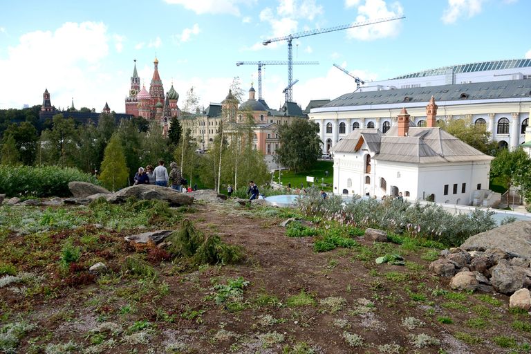Зелень в природно-ландшафтном парке Зарядье в Москве Зелень в природно-ландшафтном парке Зарядье в Москве