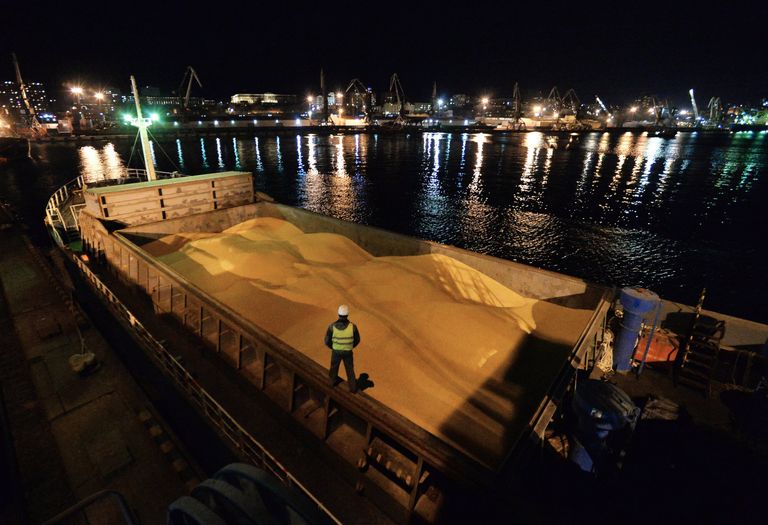 Кукуруза российского производства на борту японского судна во Владивостокском морском торговом порту Кукуруза российского производства на борту японского судна во Владивостокском морском торговом порту
