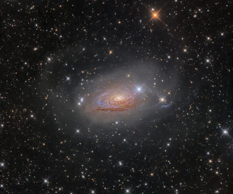 Снимок фотографа Олега Брызгалова из Украины M63 Star Streams and the Sunflower Galaxy, победивший в категории Галактики в фотоконкурсе Insight Astronomy Photographer of the Year 2017 Снимок фотографа Олега Брызгалова из Украины M63 Star Streams and the Sunflower Galaxy, победивший в категории Галактики в фотоконкурсе Insight Astronomy Photographer of the Year 2017