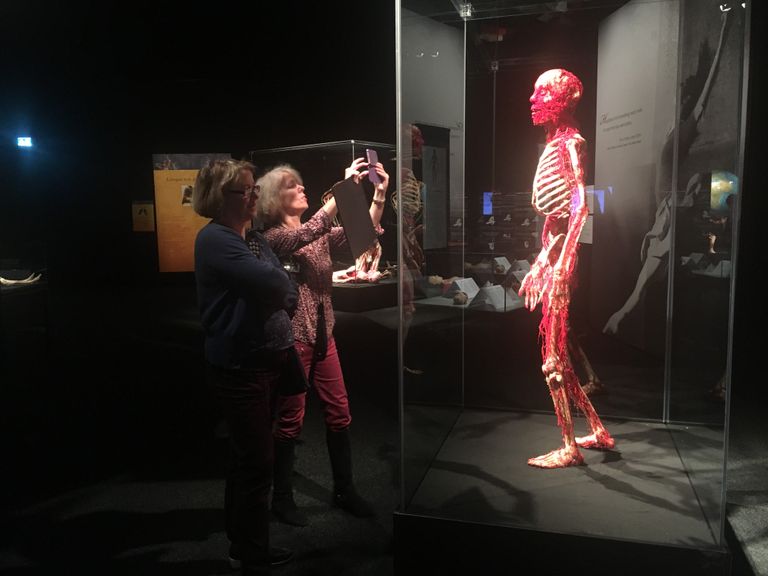 Открытие выставки Body Worlds в Женеве