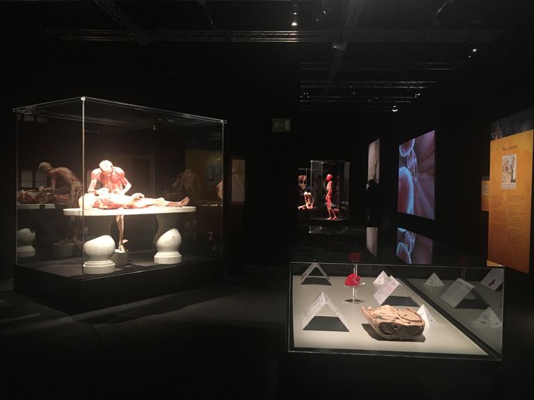 Открытие выставки Body Worlds в Женеве