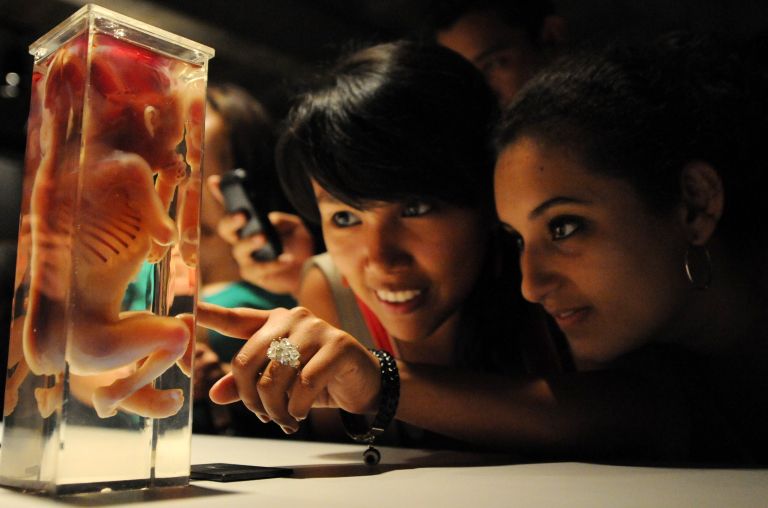 Анатомическая выставка реальных человеческих тел Body Worlds в Тегусигальпе, Гондурас. 8 ноября 2012 Анатомическая выставка реальных человеческих тел Body Worlds в Тегусигальпе, Гондурас. 8 ноября 2012