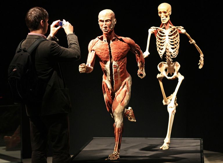 Анатомическая выставка реальных человеческих тел Body Worlds в Лейпциге, Германия. 3 июня 2010 Анатомическая выставка реальных человеческих тел Body Worlds в Лейпциге, Германия. 3 июня 2010