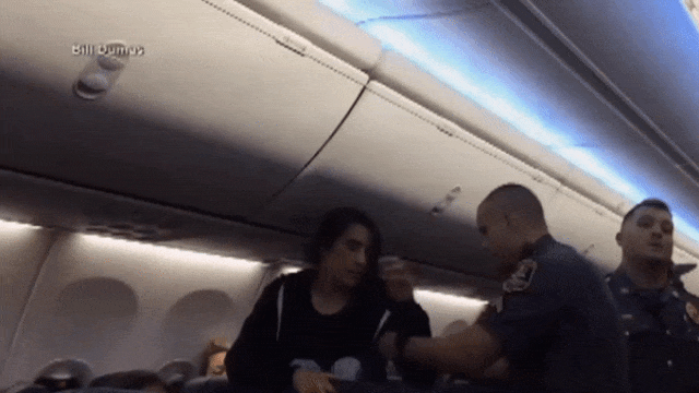 Женщину выводят с самолета gif Женщину выводят с самолета gif