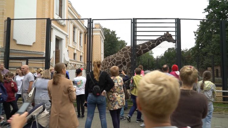 Проект Непара и участники шоу Ты супер! в зоопарке. 28 сентября 2017 Проект Непара и участники шоу Ты супер! в зоопарке. 28 сентября 2017