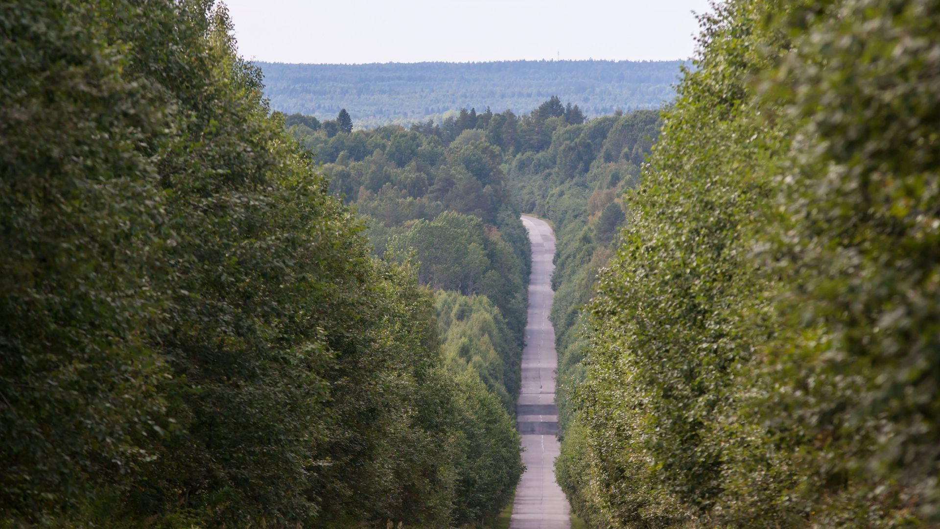 Дорога в Карелии Дорога в Карелии - РИА Новости, 1920, 27.03.2021
