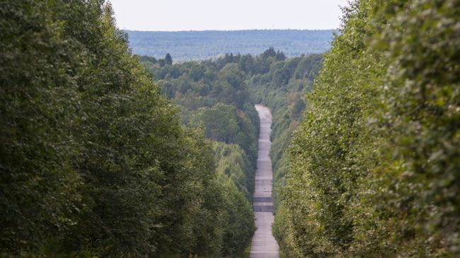 Россия, Республика Карелия. Архивное фото Россия, Республика Карелия. Архивное фото
