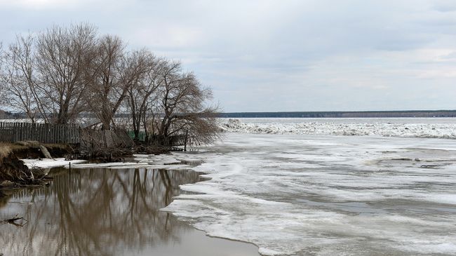 Новосибирское водохранилище очистили от мусора