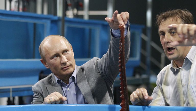 Президент России Владимир Путин во время посещения научно-образовательного комплекса Приморский океанариум на острове Русский во Владивостоке 6 сентября 2012 Президент России Владимир Путин во время посещения научно-образовательного комплекса Приморский океанариум на острове Русский во Владивостоке 6 сентября 2012