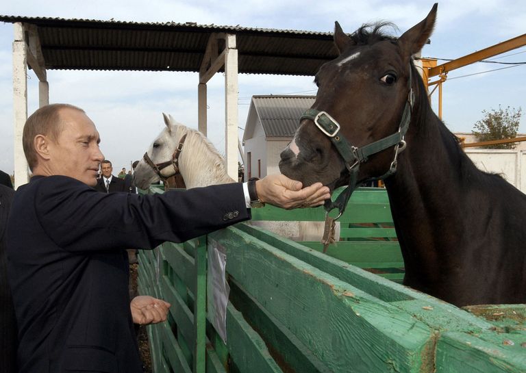Президент РФ Владимир Путин во время посещения животноводческого комплекса агрофирмы Николаевская в Саратовской области Президент РФ Владимир Путин во время посещения животноводческого комплекса агрофирмы Николаевская в Саратовской области