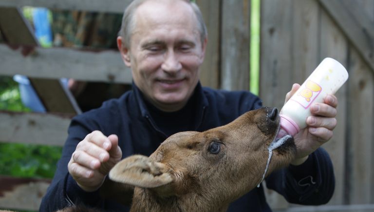 Премьер-министр РФ Владимир Путин во время посещения парка Лосиный остров. 5 июня 2010 Премьер-министр РФ Владимир Путин во время посещения парка Лосиный остров. 5 июня 2010