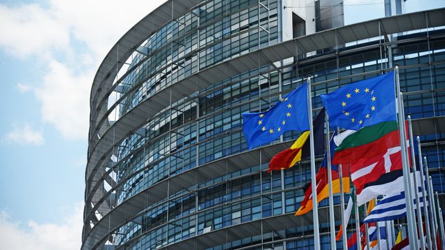 Флаги ЕС у здания Европейского парламента в Страсбурге. Архивное фото Флаги ЕС у здания Европейского парламента в Страсбурге. Архивное фото