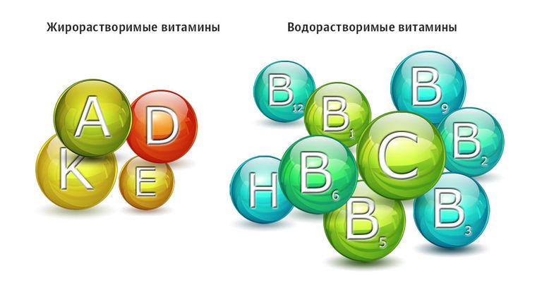 Группы жирорастворимых и водорастворимых витаминов