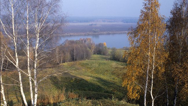 Описание границ ООПТ в Пущине сохранит природу исторического памятника