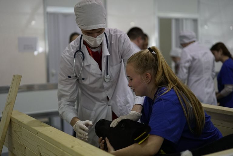 V Национальный чемпионат WorldSkills в Краснодаре. Соревнования в компетенции Ветеринария V Национальный чемпионат WorldSkills в Краснодаре. Соревнования в компетенции Ветеринария