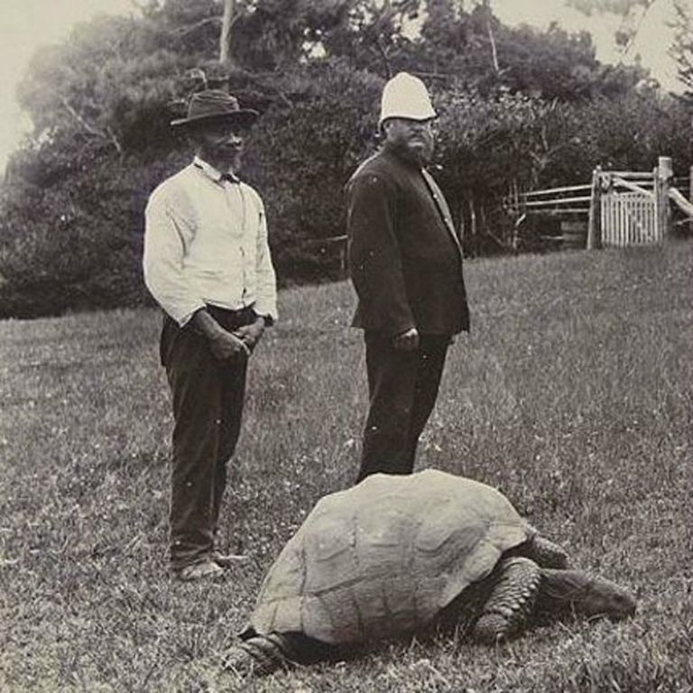 Фотография предположительно Джонатана, сделанная до 1886 года, либо 1900—1902 годов