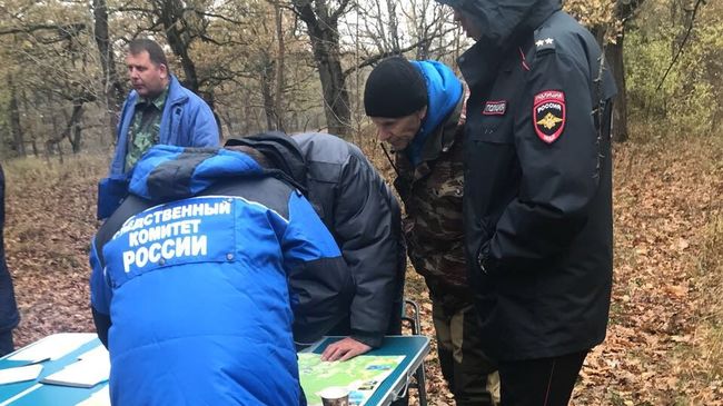 Поиски ребенка в лесу