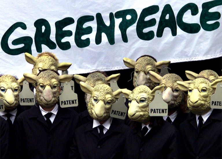 Протест активистов Greenpeace против клонирования животных в Германии Протест активистов Greenpeace против клонирования животных в Германии
