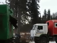 Медведь Медведь
