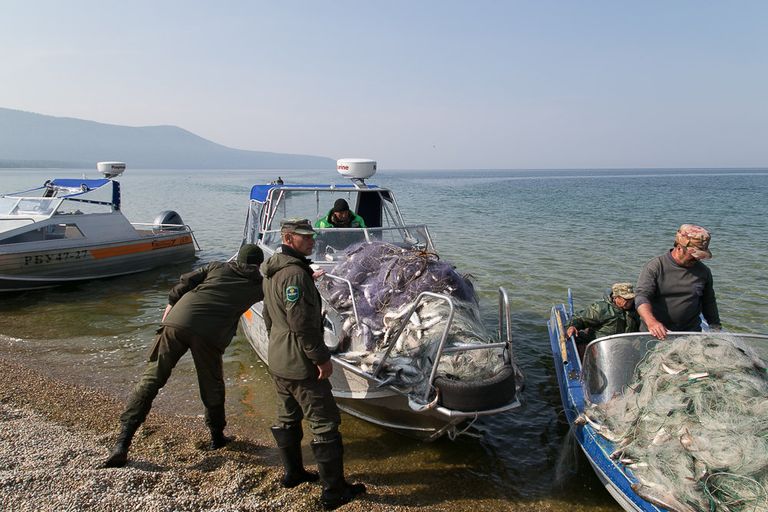 Рейд оперативной группы Баргузин, в ходе которого было изъято более двух километров сетей Рейд оперативной группы Баргузин, в ходе которого было изъято более двух километров сетей