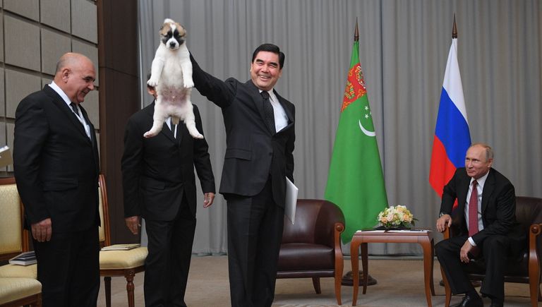 Президент РФ Владимир Путин и президент Туркмении, председатель кабинета министров Туркмении Гурбангулы Бердымухамедов во время встречи Президент РФ Владимир Путин и президент Туркмении, председатель кабинета министров Туркмении Гурбангулы Бердымухамедов во время встречи