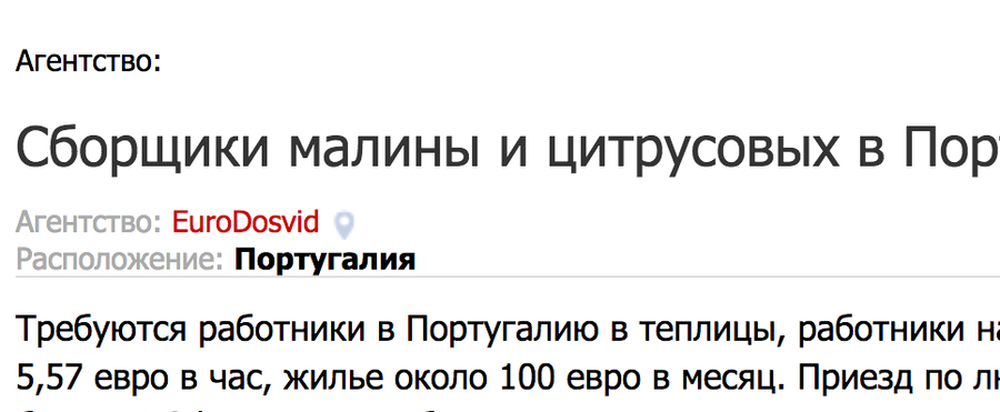 Скриншот объявления о поиске сборщиков малины и цитрусовых в Португалии, опубликованного на сайте ZAROBITCHANY.org  