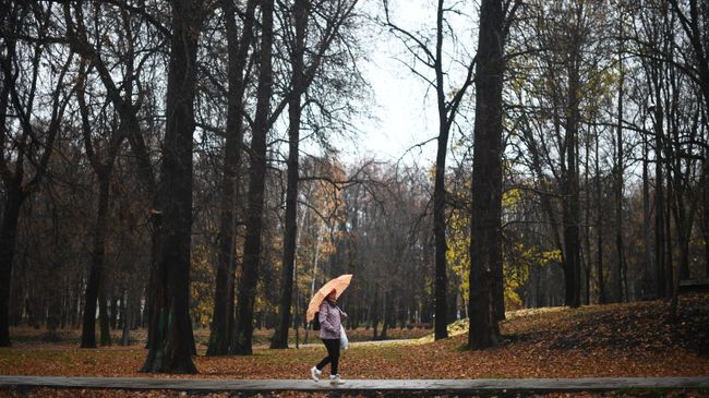 Женщина идет по дороге в парке-усадьбе Михалково во время дождя. Архивное фото Женщина идет по дороге в парке-усадьбе Михалково во время дождя. Архивное фото