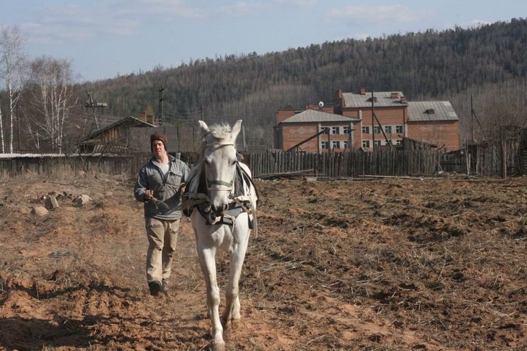 Джастас Уолкер