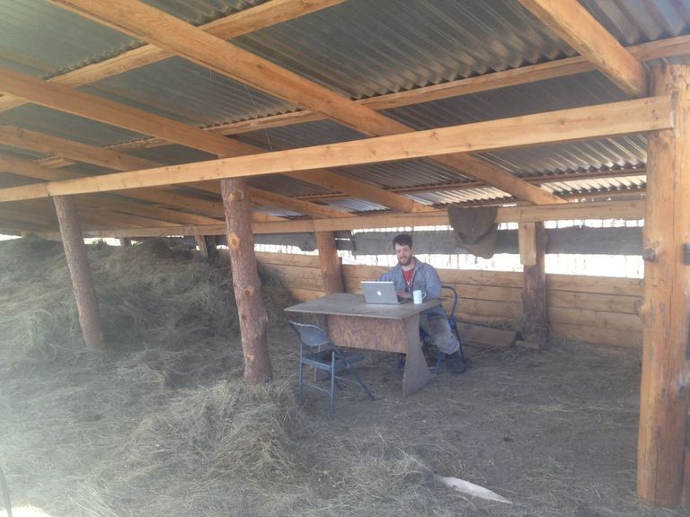 Джастас Уолкер