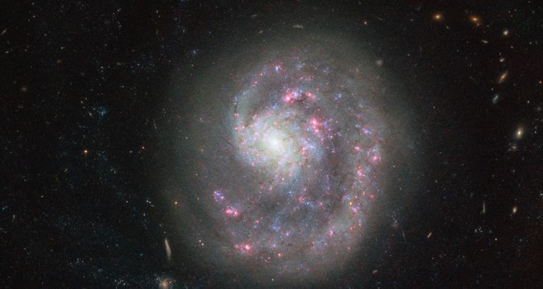 Галактика NGC 4625 в созвездии Гончих Псов Галактика NGC 4625 в созвездии Гончих Псов