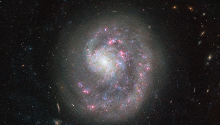 Галактика NGC 4625 в созвездии Гончих Псов Галактика NGC 4625 в созвездии Гончих Псов